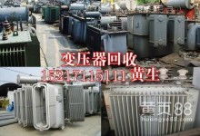 绿色循环的践行者 东莞市横沥宇顺再生资源回收厂
